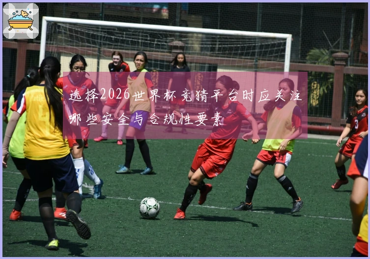 选择2026世界杯竞猜平台时应关注哪些安全与合规性要素