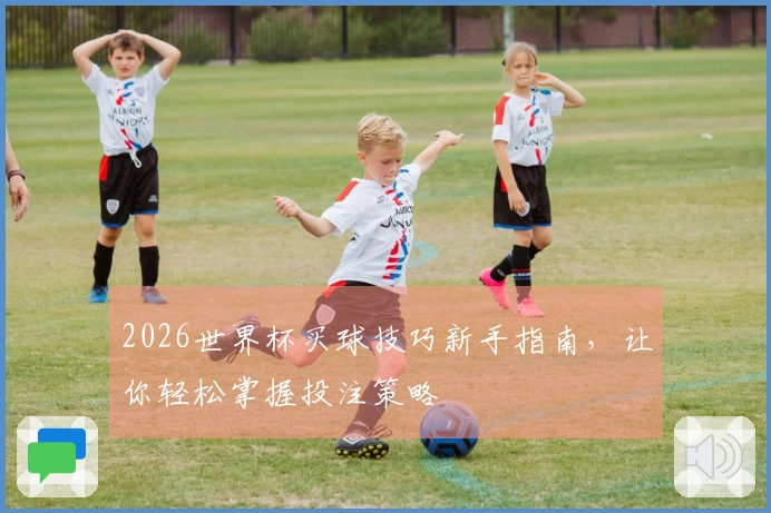 2026世界杯买球技巧新手指南，让你轻松掌握投注策略